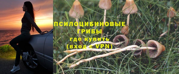 бошки Красноперекопск