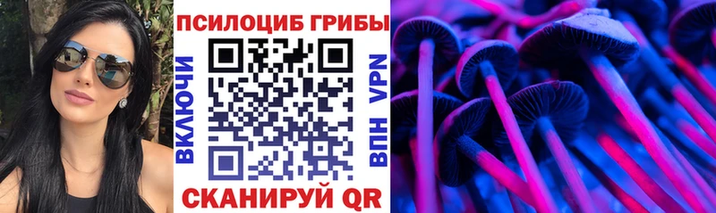 Псилоцибиновые грибы GOLDEN TEACHER  Купить  Архангельск 